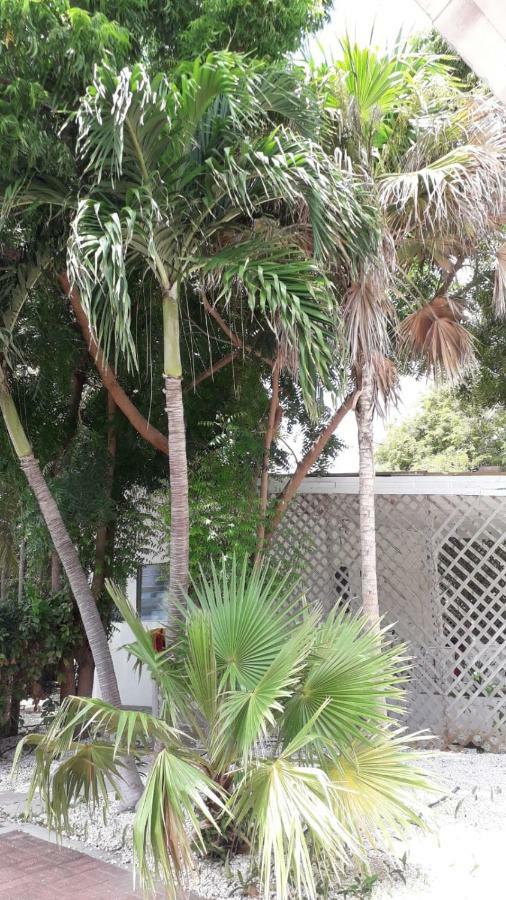 Palm Trees Apartments Willemstad Extérieur photo